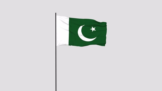 Pakistan Flag Animation 4K Transparent Background with Alpha Channel