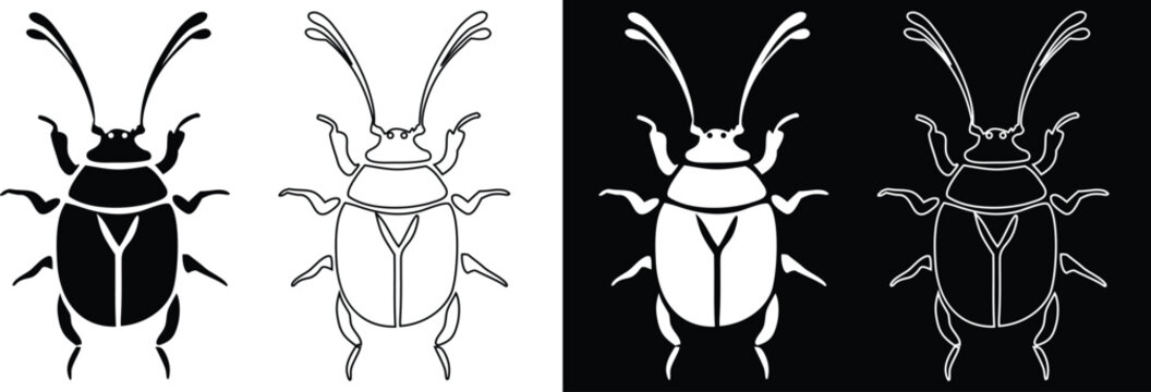 Beetle insect with long antennae vector silhouette and line art outline variations