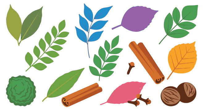 Collection of colorful spice leaf illustrations and aromatic culinary ingredients featuring cinnamon sticks, whole cloves, nutmeg, and varied green leaves on white background.