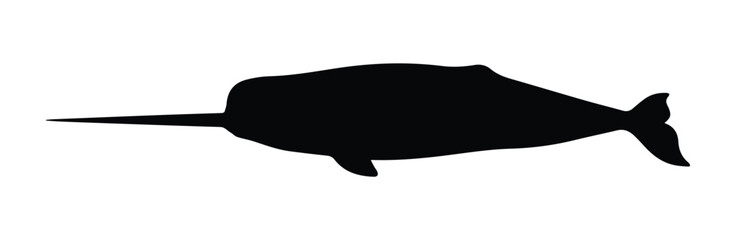 Narwhal side view icon Silhouette Vector black design on a white background © NexaVectors