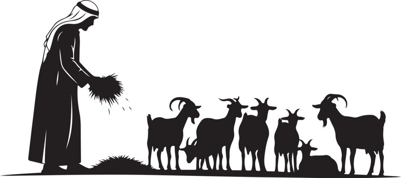 Man feeding goats with hay on white background animal black