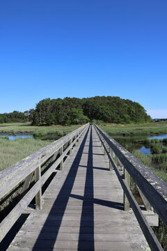walking bridge