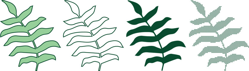 Botanical leaf vector set four variations of fern fronds for graphic design and illustration © MSTSHAYELA