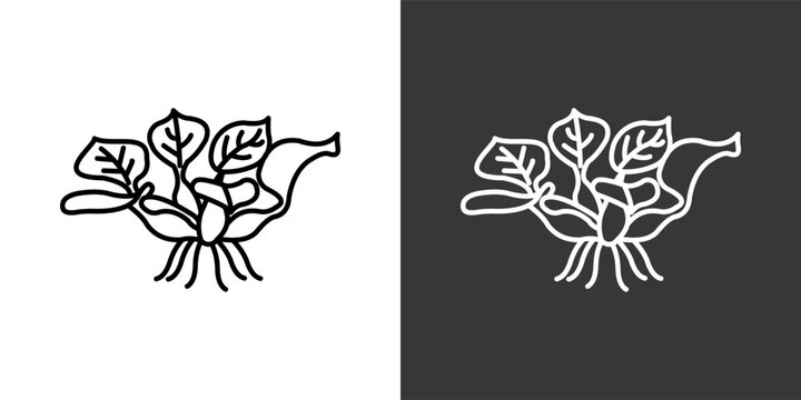 Water Hyacinth Black And White Icon Set Collection Pack Vector Illustration