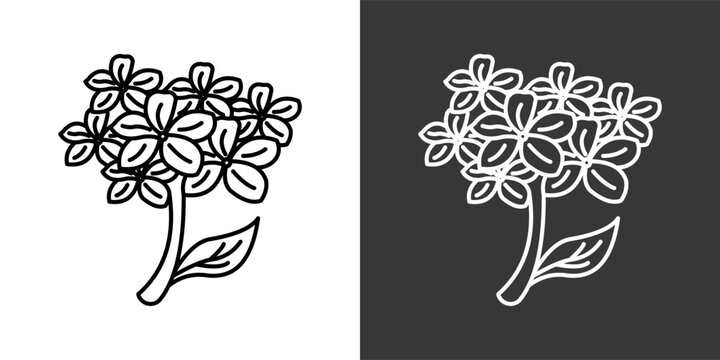 Candytuft Black And White Icon Set Collection Pack Vector Illustration