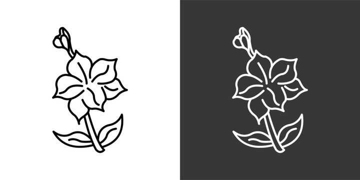 Gladiolus Black And White Icon Set Collection Pack Vector Illustration
