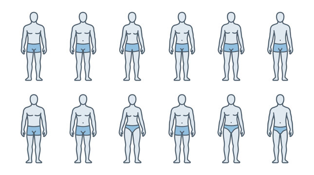 Dynamic of Human Body Types Wearing Different Styles of Underwear in Blue and Gray Tones with high quality professional line art symbols for modern creative design and digital branding projects