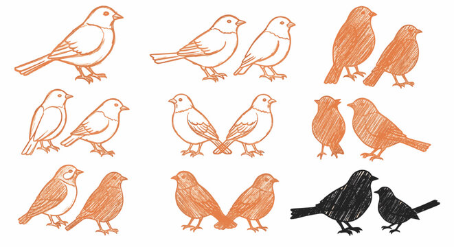 Hand-drawn bird collection featuring detailed sparrow sketches in orange and black ink. Illustration set includes various avian poses, line art profiles, and hatched silhouettes on white.