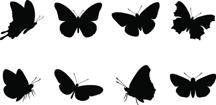 Butterfly Silhouette Icon Collection Featuring Diverse Wing Shapes and Patterns for Nature Biology and Artistic Graphic Design Projects