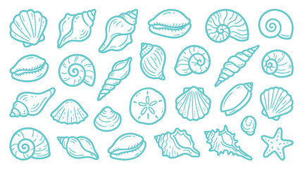 Collection of various hand-drawn seashells and starfish in a simple line art style. © Meila