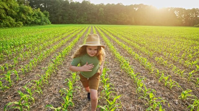 Kid running across corn field. Child in straw hat in rural farmland. Active kid run moves outdoors. Child runs through corn field. Summer corn field.