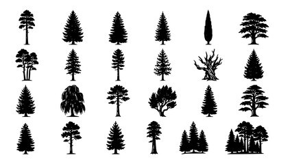 Fototapeta premium Hand Drawn Pine and Fir Tree Silhouette Vector Collection Vintage Nature Set