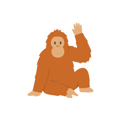 Cute baby orangutan sitting and waving hand active pose flat vector illustration © Hellotatary