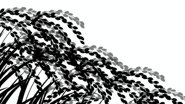 Silhouette of hanging tree branches 4K