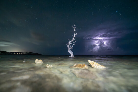 View of a lone dead tree standing in shallow water under a night sky with lightning and stars in the Florida Keys, Florida, United States.