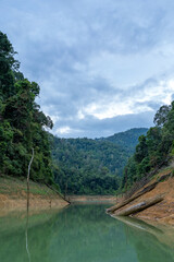 Fototapeta premium Tranquil Forest Cove with Calm Reflections, Cheow Lan Lake, Khao Sok