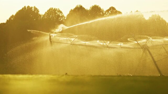 Sprinkler reaches green field. Sprinkler follows pivot line. Farm sprinkler supports irrigation. Modern sprinkler waters farmland.
