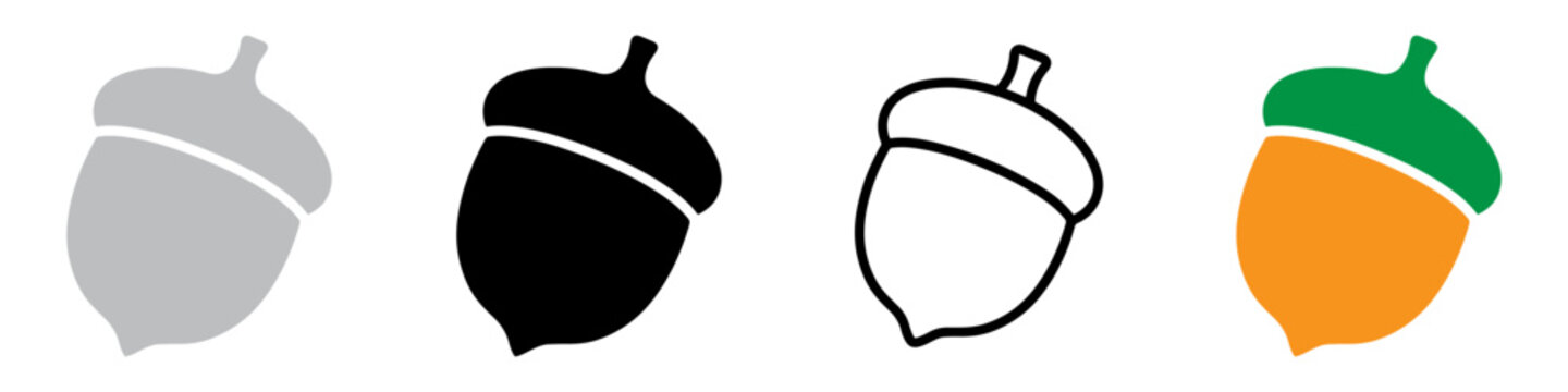 Acorn seed Silhouette icon, logo, symbol, clipart vector illustration. PNG. Editable stroke. Acorn icon.