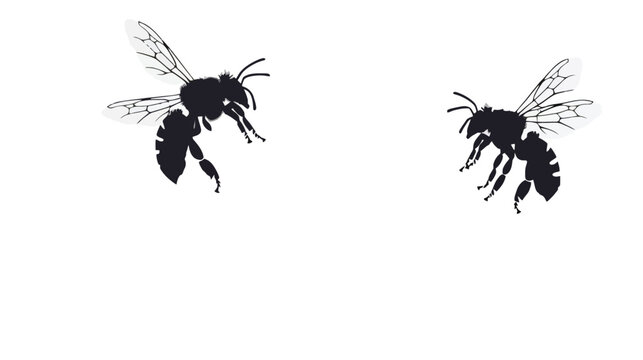 Honey bee silhouettes in flight, black bumblebee insect vector set, flying honeybees isolated on white background for nature and honey branding