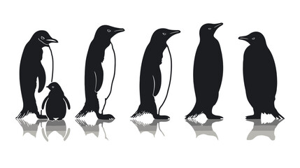 Obraz premium Black bird silhouette collection on tree branches, flying and perched songbird vector set, minimalist nature wildlife illustration on white background
