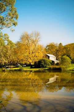 Autumn landscape: peaceful countryside with golden deciduous trees and sunlit cottage reflected across a calm farm pond, Mount Macedon, Victoria, Australia