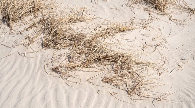 Dried cracked mud texture with grass close up
