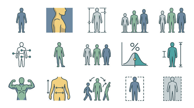 Sleek Infographic Showing Human Body Measurement Analysis with Diverse Figures Dimensions and Statistical Representations