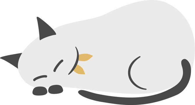 寝ている猫