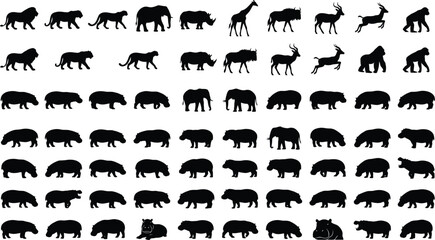 African wildlife animal silhouettes set featuring lion tiger elephant rhino giraffe and various hippo poses isolated on white background © VactorZone