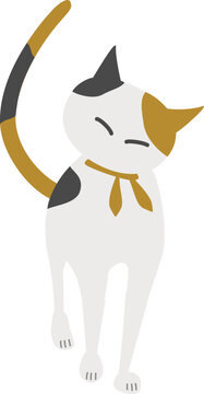 歩いてくる猫