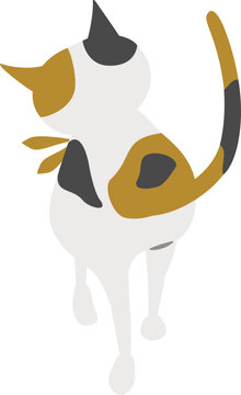 歩いている猫の後ろ姿