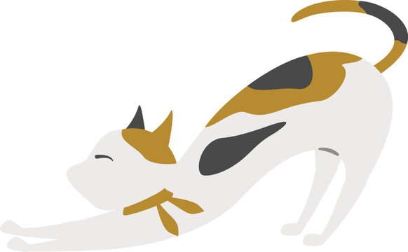 伸びをしている猫