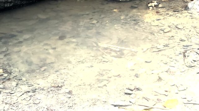 small puddle with rain 
