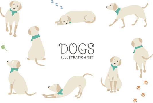 犬のイラストセット