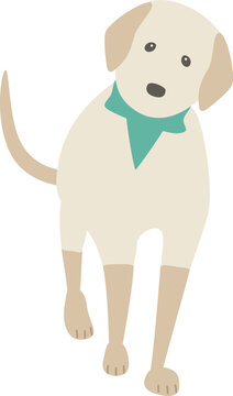歩いてくる犬