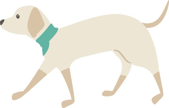 歩いている犬の横向きの姿