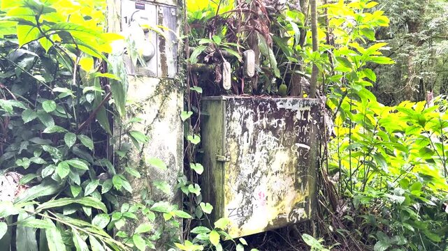 old electricity box in the forest