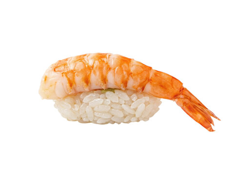 Ebi nigiri sushi with shrimp and rice isolated on transparent background