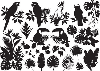 Diverse Silhouette Collection of Tropical Birds and Lush Jungle Foliage Elements, Featuring Exotic Parrots, Toucans, and Botanical Flora © morshed.png