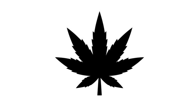 Minimalist marijuana leaf icon vector isolated on white background with clean flat cannabis symbol for logo branding signage packaging and graphic design