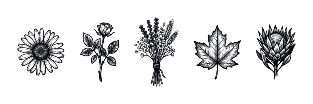 Collection of five detailed black and white botanical illustrations, including a daisy, rose, lavender bouquet, maple leaf, and protea flower, isolated on a clean white background