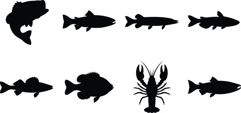 Set of freshwater fish and crayfish vector icons featuring black silhouettes of popular river wildlife.