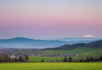 Fototapeta premium Snow-capped Mount Fuji towering beyond full bloom cherry blossoms and a pink flower field