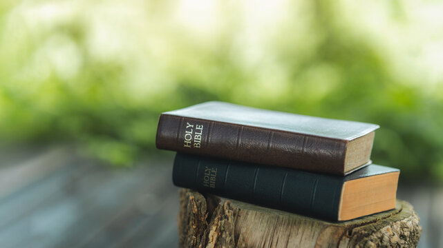 Two Bibles are placed on a wooden board with no writing on them, signifying prayer and praise to God.