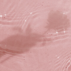 Fototapeta premium Pink pool water background, rose flower shadow