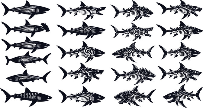 Black and white of various fish species arranged in rows marine aquatic ocean