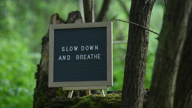 Felt letterboard with text Slow down and breathe on old mossy tree stump in deep forest	
