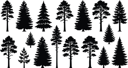Set of coniferous and evergreen tree silhouettes for forest scenes. © jim's Cafe
