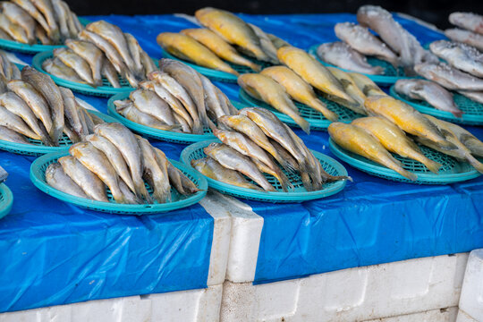 Fresh yellow croakers displayed on green plastic baskets at a fish market in south korea.