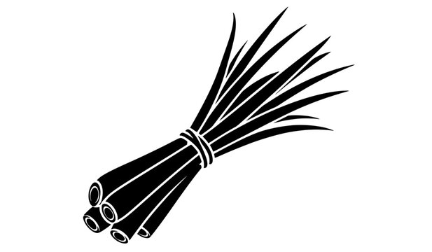 Fresh Green Lemongrass Bundle Black and White Vector Illustration Icon Isolated on White Background